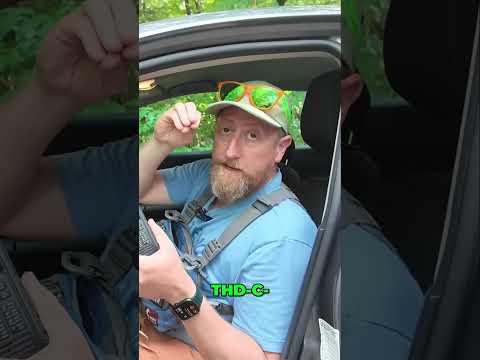 Kenwood TH D75 & USB C Charging!