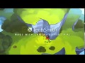 Angry Birds Bomb WTF BOOM