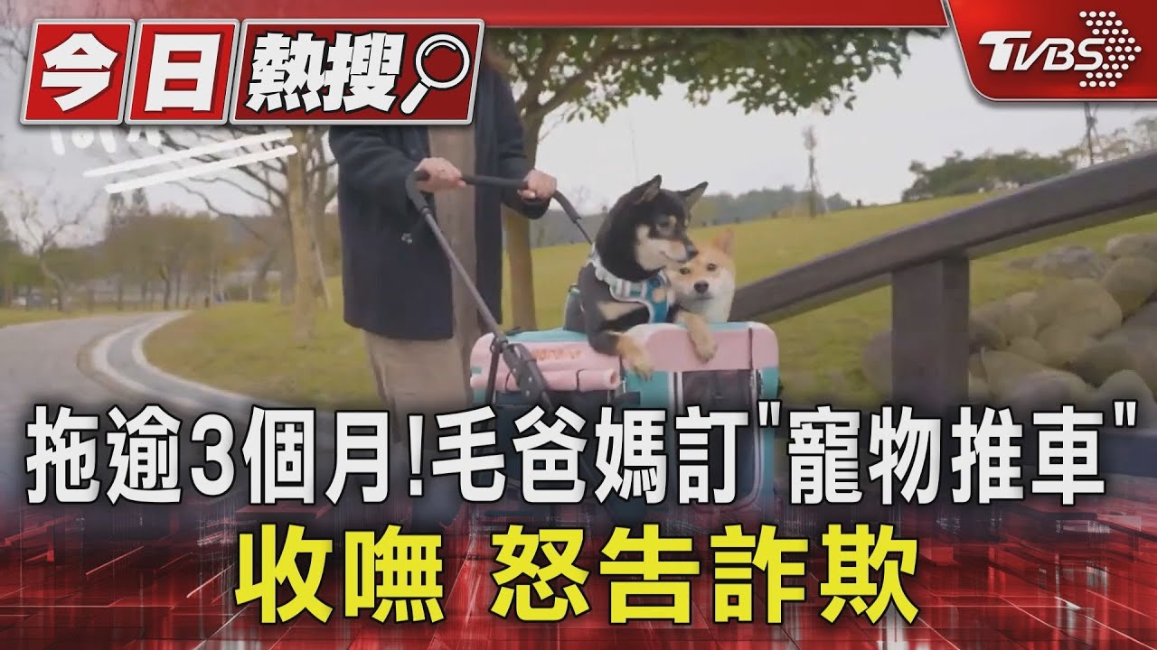 拖逾3個月！毛爸媽訂「寵物推車」收嘸怒告詐欺