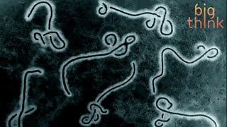 Sue Desmond-Hellmann: How Ebola Tested the Bill &amp; Melinda Gates Foundation
