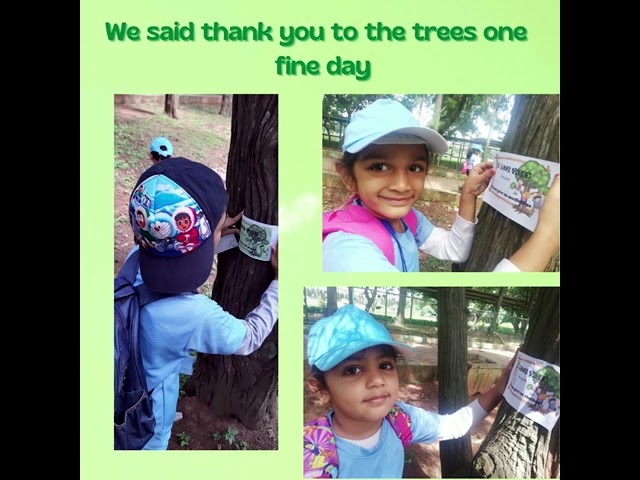 MSB - Lalbagh Field Trip