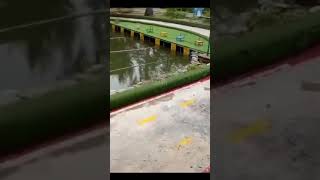 Download lagu Monyet ini juara balapan motor mp3