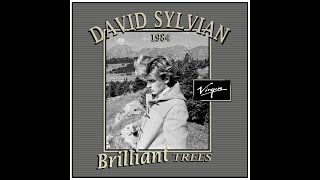 David Sylvian - Brilliant Trees (1984)
