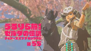 #55 偶然再会したアイツのせいで、予定が全て狂いました【ゼルダの伝説 ティアーズ オブ ザ キングダム Switch2エディション】