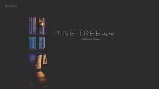 「VIETSUB」 'PINE TREE' 소나무 - Wanna One (워너원)