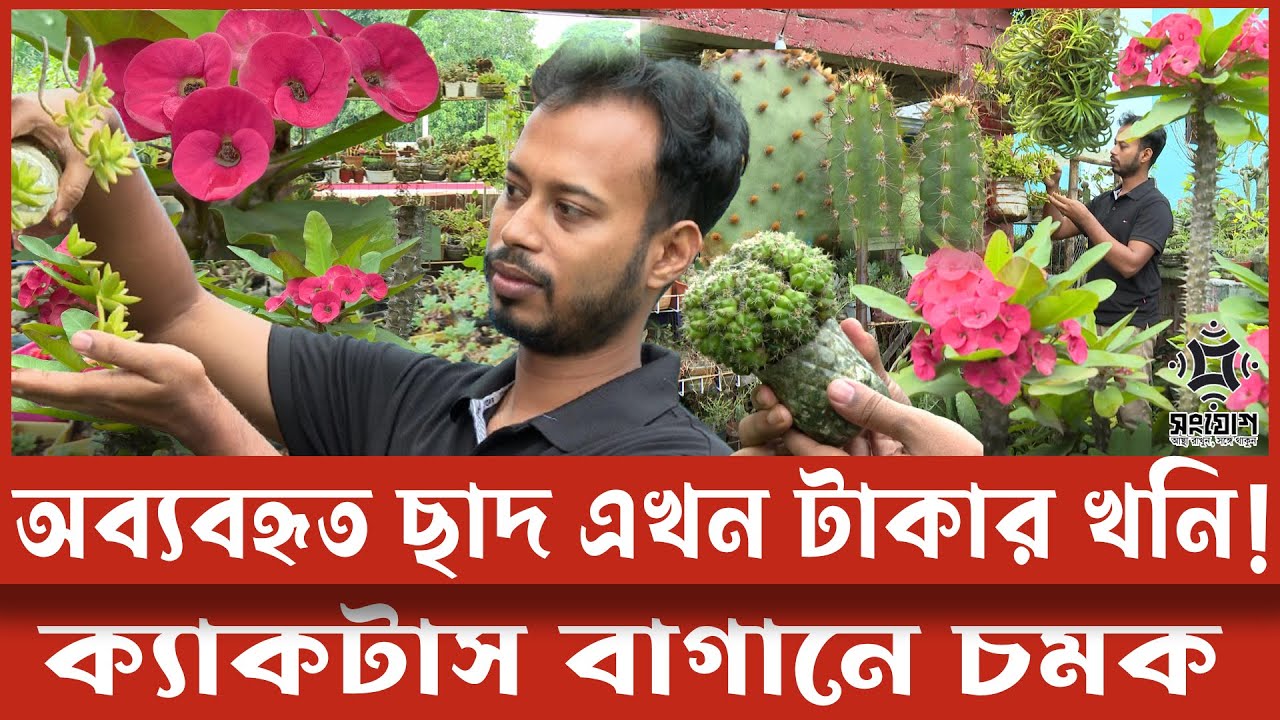 ক্যাকটাস চাষ করে যুবকের সফলতা