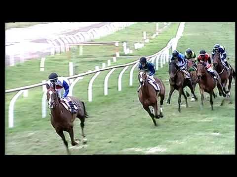 Galoppo 25/01/2021 - 5ª corsa