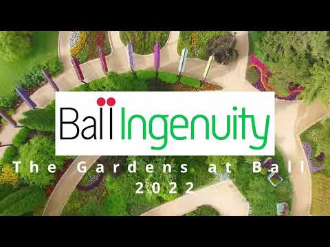 Ball Ingenuity - Ball Seed Customer Days 2022 thumbnail