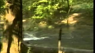 Best of Praise and Worship Scenic Videos 2 (6 hours).mp4