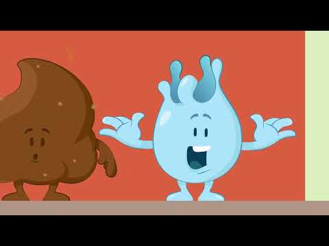 The tale of the tap: where we get our water