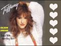 Tiffany - I Saw Him Standing There.wmv