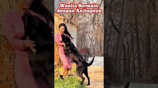 Download lagu wanita ini bermain bersama anjing peliharaannya #trending #anjing #trendingshorts #peliharaan mp3