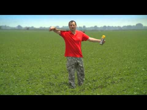 Sigurna zastita soje, Corum, BASF - U nasem ataru 632