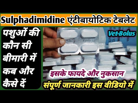 Sulfadimidine 5 Gm Bolus, Packaging Type: Box
