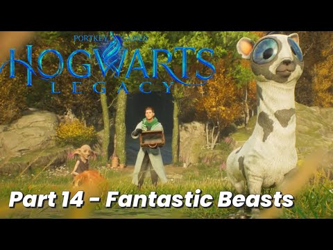 Hogwarts Legacy Walkthrough gameplay Part 14 Fantastic Beasts