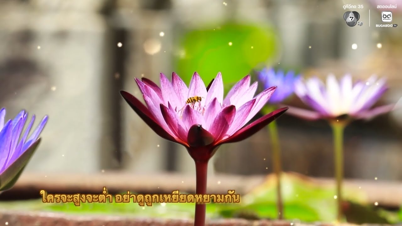 ใครจะสูงจะต่ำ อย่าดูถูกเหยียดหยามกัน | พรุ่งนี้วั?