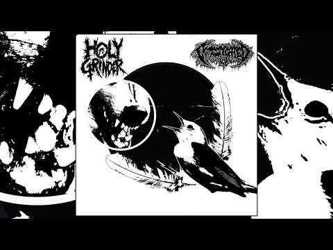 Domesticated / Holy Grinder - split FULL ALBUM (2018 - Deathgrind / Noisegrind)