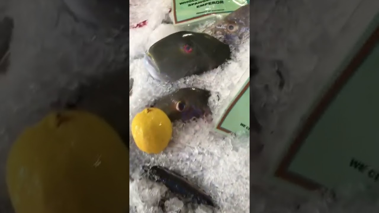 Best Fresh Fish Seafood Selection - Yup… Queensland 💯