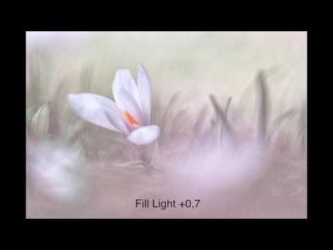 RAW Development With SIGMA Photo Pro (SPP) - 3. Developing A Colour Image