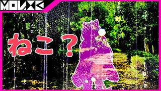 【 世界観 】「猫だよ」【 Vtuber 】