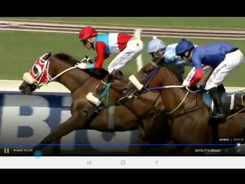 Race 6 pinnacle stakes #Vaal  Gavin Lerena on Flichity by Far gets up to win the best race of the dy