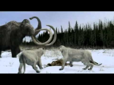 History of the "Walking with" Trilogy of Life: 15th Anniversary Music Video