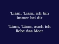 In Extremo - Liam (Lyrics, deutsch) 