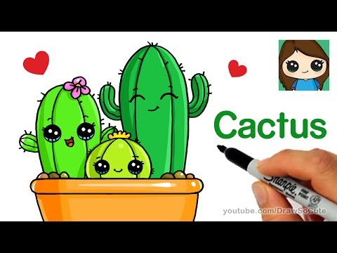 Cactus tekenen  kawaii 4 you