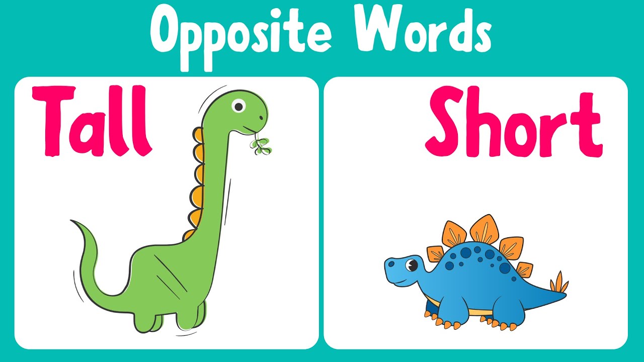 Opposite Words | Vocabulary | Learning Videos for Kids EP. 23