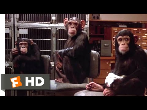 Back to School (1986) - Lab Monkeys Scene (8/12) | Movieclips