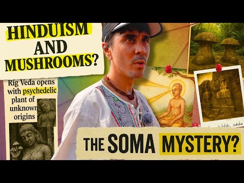 Hinduism's Secret Mushroom Theory