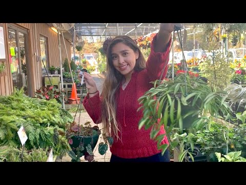 CRAZY HOYA FIND! NE Houston Plant Nursery Tours/Shopping at Lowes | Vlog 4