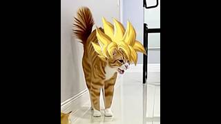 A GATA SUPER SAIYAJIN DEFENDEU SEU FILHOTE #shorts