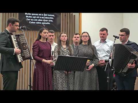 Frații Bîrsan - Multe drumuri