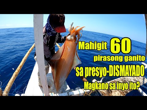 GIANT SQUIDS IBINABA NA| PERO SA PRESYO AY DISMAYADO!!! MAHIGIT 60 PIRASO