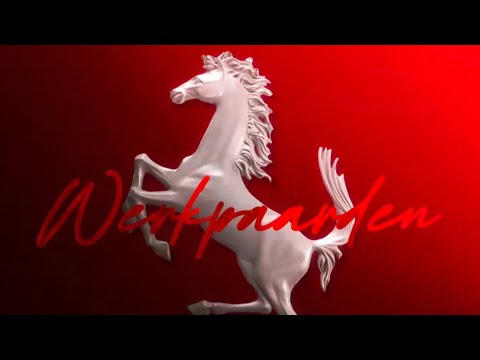 Werkpaarden - Glades, Lijpe, Boef (zonder 3Robi's vers)