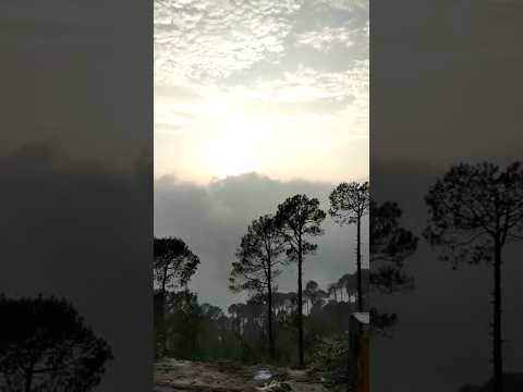 #shortvideo #travel #viralvideo #youtubeshorts