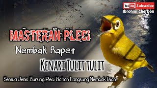 Download lagu MASTERAN PLECI ||  Nembak Rapet Kenari Tulit Tulit || Pleci Bahan Langsung Nembak Isian mp3