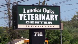 preview picture of video 'Lanoka Oaks Veterinary Center - Short | Lanoka Harbor, NJ'
