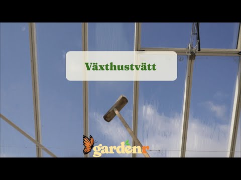 Greenhouse cleaning - Gardenhacks by GardenR