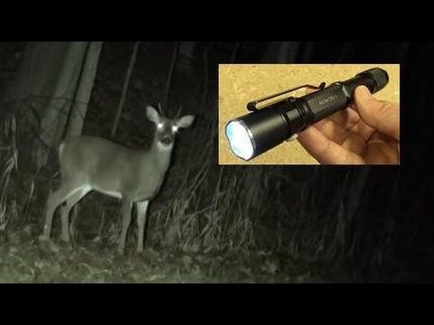 ThruNite Archer 2A V2 Flashlight Demo