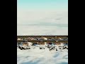 Kindness Kindness Shorts Cartoon Cute Love Successbgm