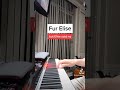 Fur Elise but Elise said no