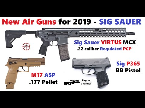 New Air Guns - SIG SAUER - 2019 Shot Show