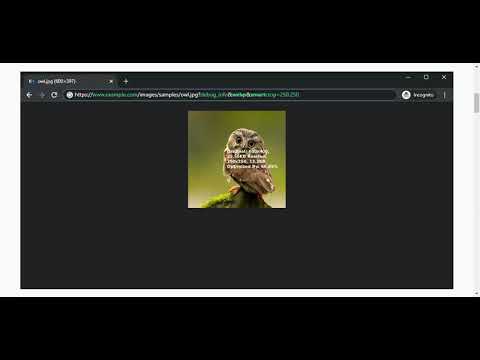 Video Image