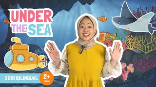 Download lagu UNDER THE SEA | Belajar Bahasa Inggris mengenal Biota Laut sambil Beraktivitas Seru! mp3 Download lagu UNDER THE SEA | Belajar Bahasa Inggris mengenal Biota Laut sambil Beraktivitas Seru! mp3