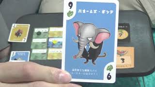 【カラーギャングルズ】2019春の新作ボードゲーム！島の領土を奪い合う頭脳戦！？力で争う時代はもう古い！！【けんちゃんず】