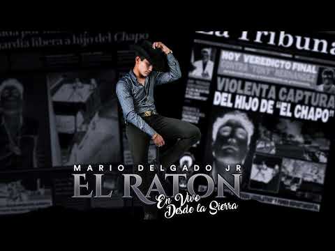 EL RATÓN - Mario Delgado Jr (En vivo desde la sierra)