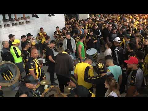 "Previa de la Percusión - Hinchada de Peñarol (vs racing)" Barra: Barra Amsterdam &bull; Club: Peñarol