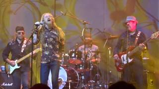 VARGAS BLUES BAND - Playing at the Crossroads